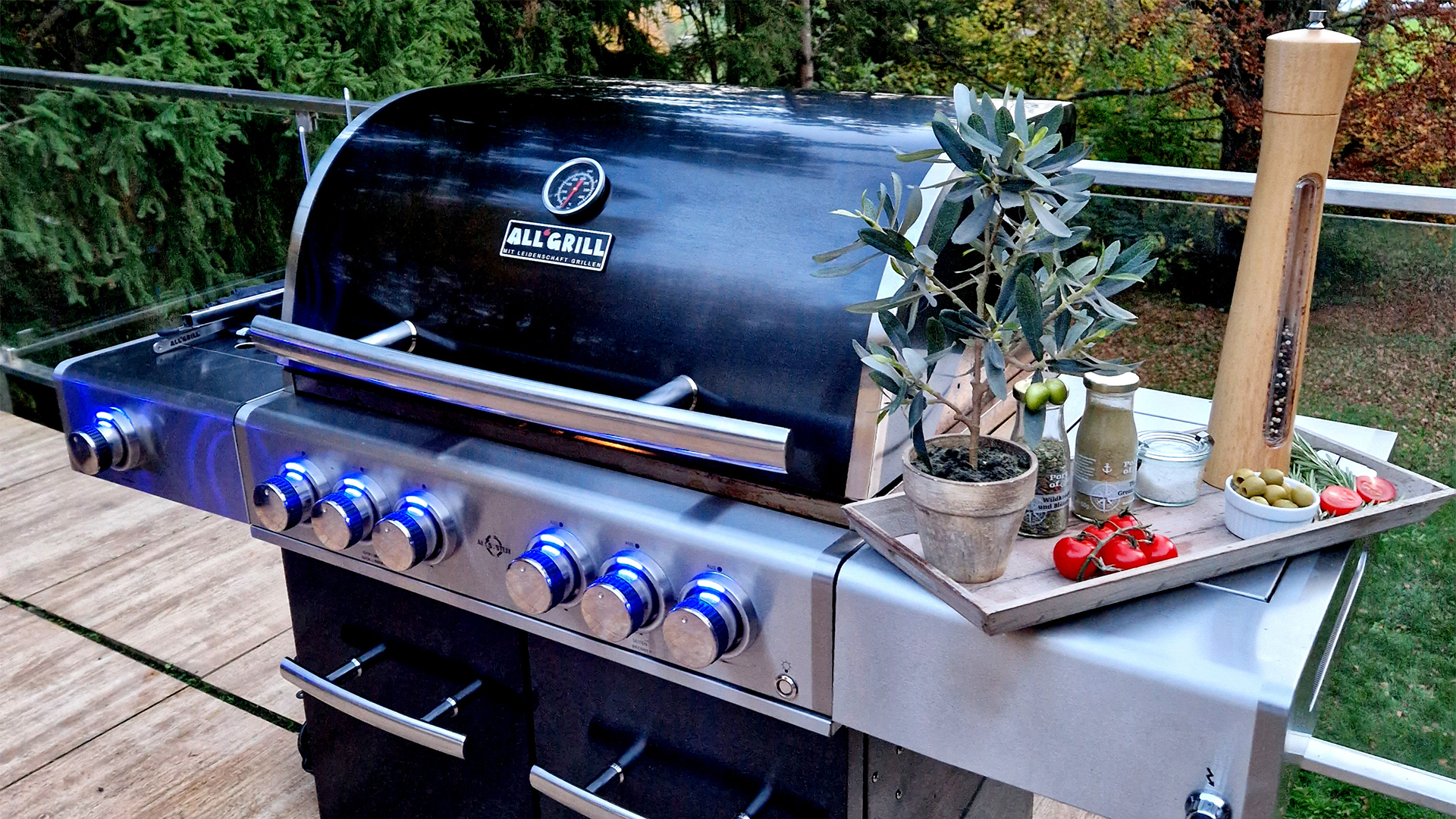 Allgrill Grills