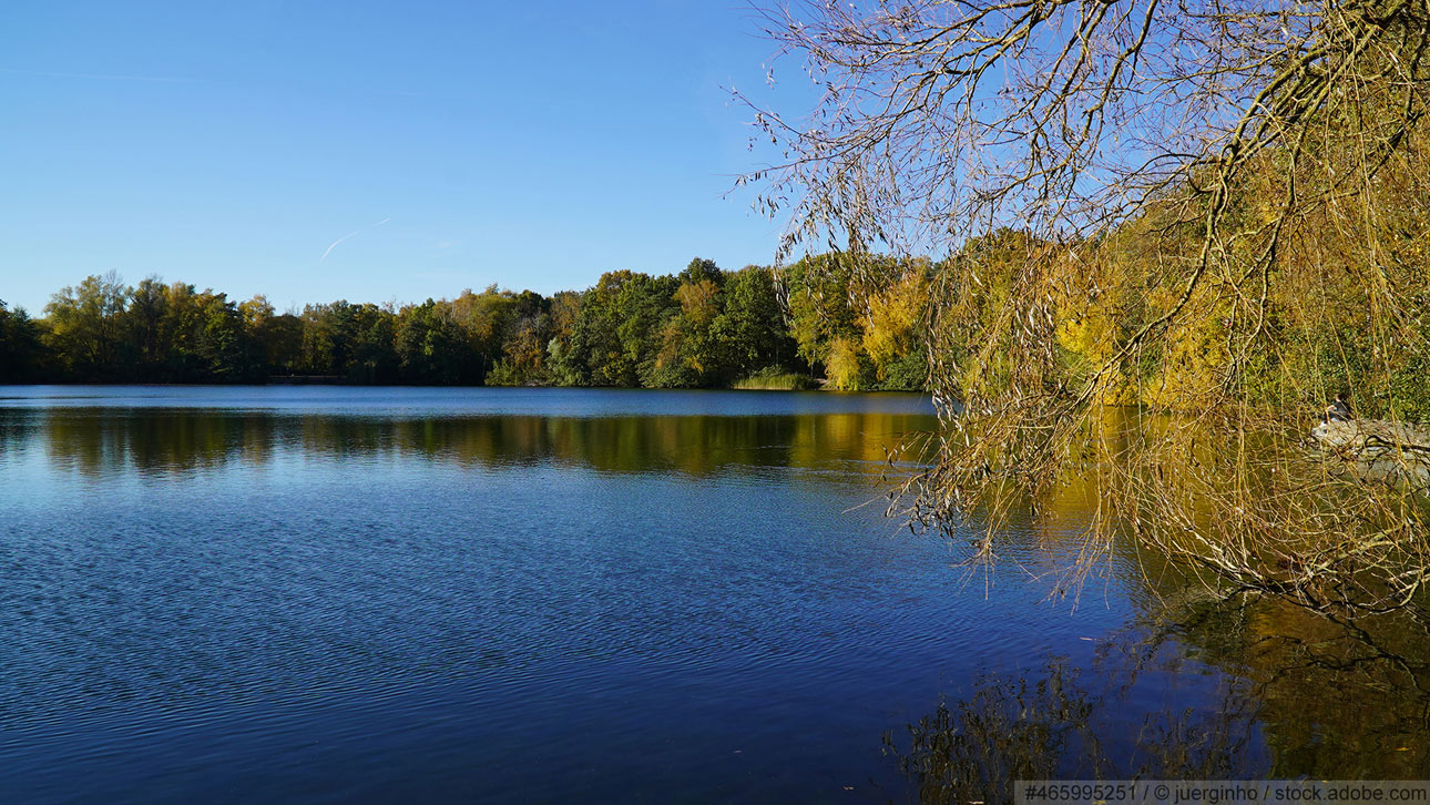 weik.online GmbH aus Edingen-Neckarhausen: Rollladen für Garbsen